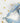 Cocopup London Blue Daisy Dream Lead