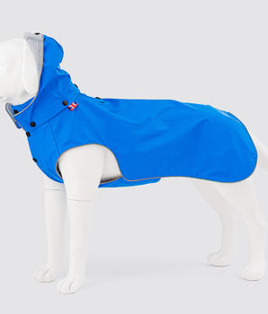 All-weather Dog Raincoat - Blue