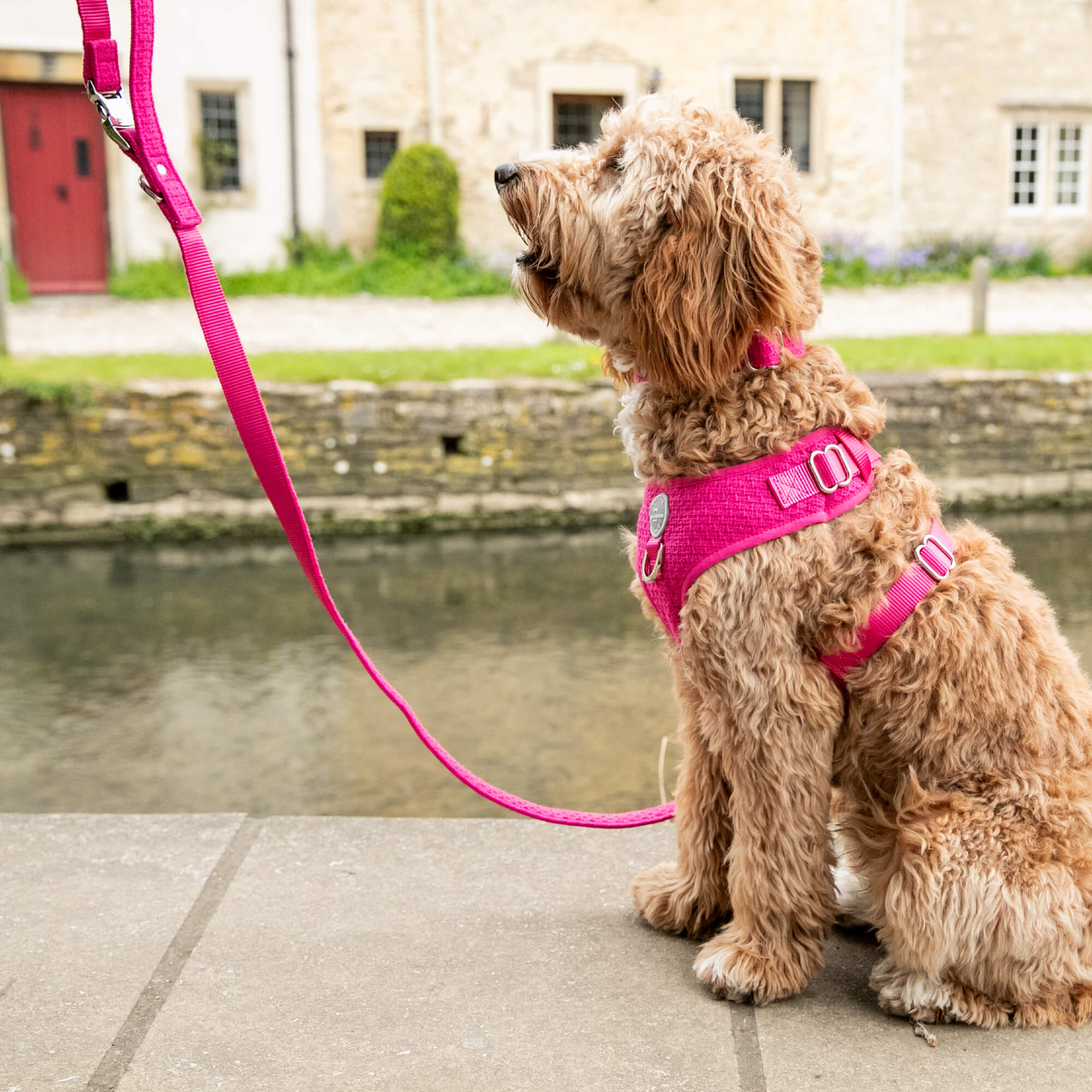 Pink Luxury Tweed Dog Harness