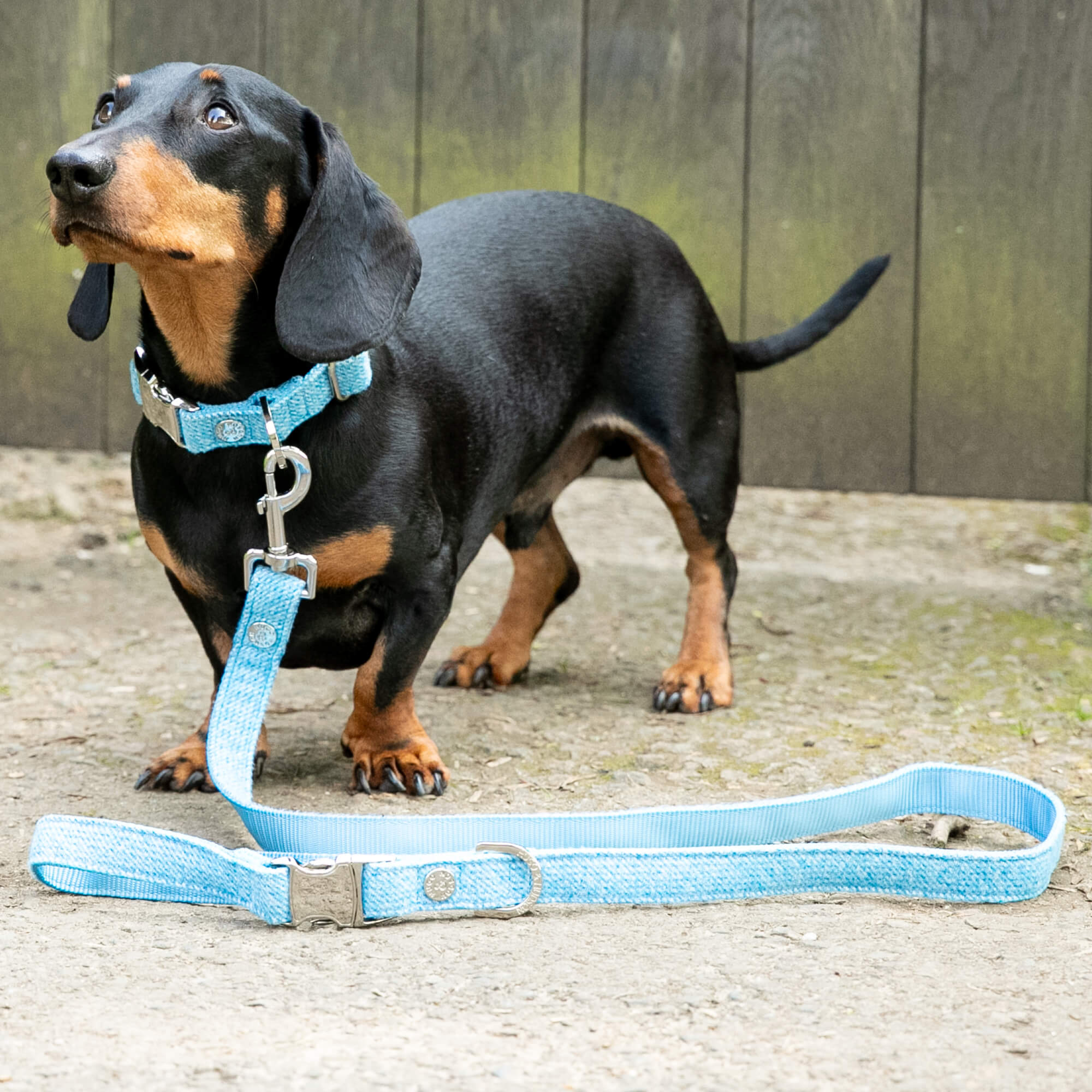 Blue Luxury Tweed Lead