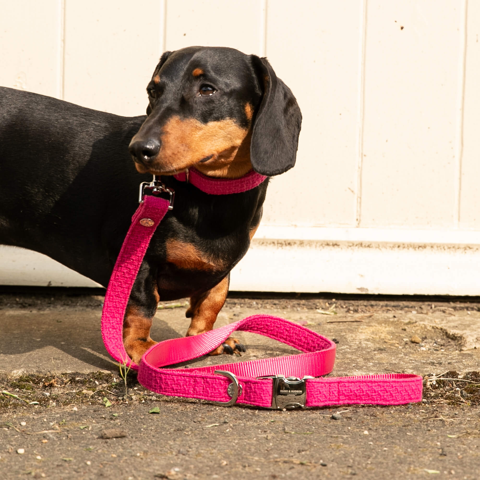 Pink Luxury Tweed Lead