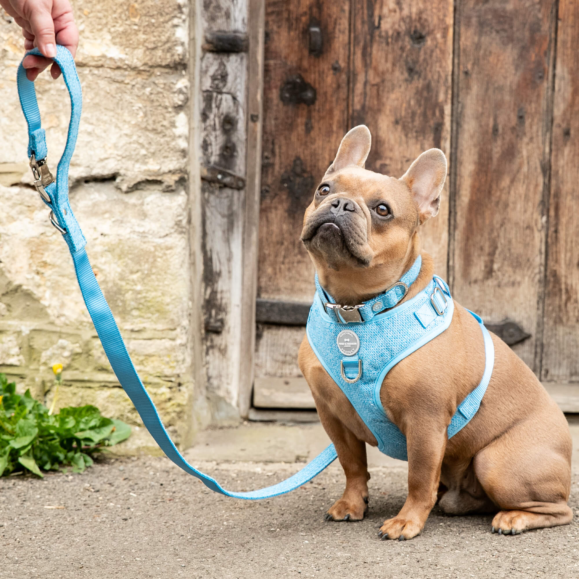 Blue Luxury Tweed Lead