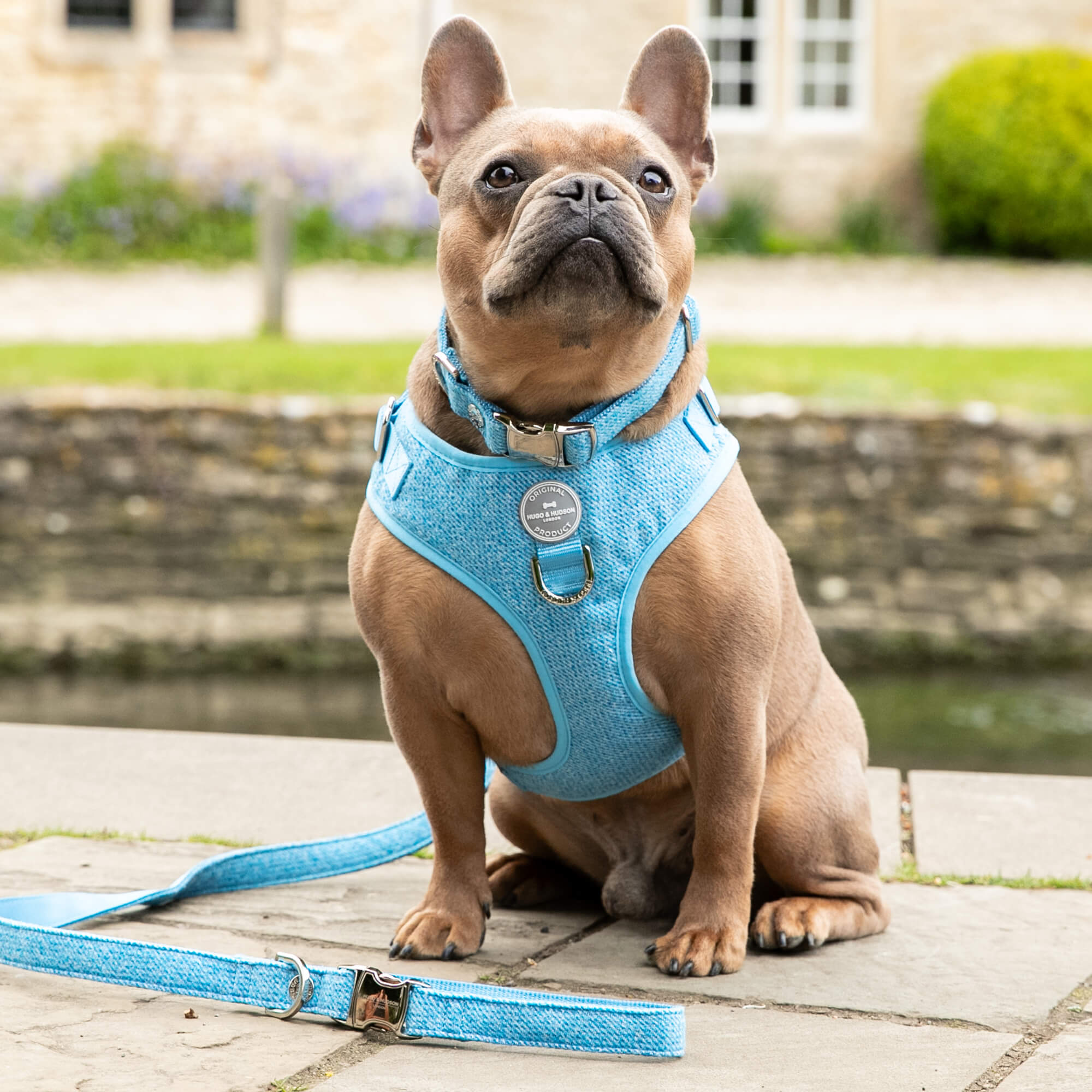 Blue Luxury Tweed Dog Harness