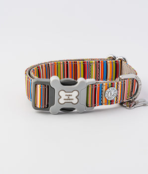Fabric Dog Collar - Striped Multi-color