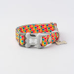Fabric Dog Collar - Geometric Multi-color