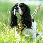 Fabric Dog Collar - Geometric Multi-color
