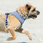 Fabric Dog Collar - Striped Navy