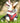 Fabric Dog Collar - Red Star