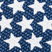 Navy Star Swatch