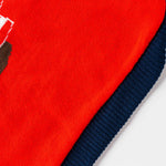 Christmas Dog Sweater - Reindeer