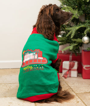 Christmas Dog Sweater - Santa's Sleigh