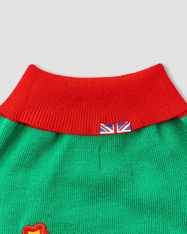 Christmas Dog Jumper - Santa's Sleigh Collar