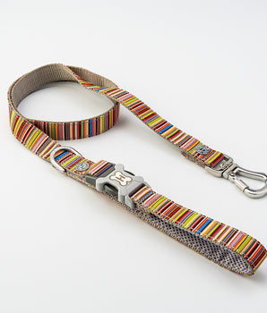 Fabric Dog Leash - Striped Multi-color