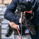 Fabric Dog Leash - Orange Geometric