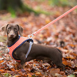 Fabric Dog Leash - Orange Geometric