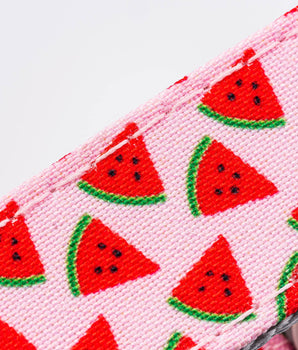 Fabric Dog Leash - Pink Watermelon