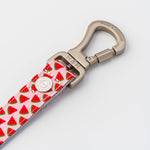 Fabric Dog Leash - Pink Watermelon