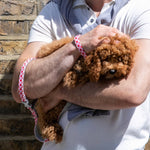 Fabric Dog Leash - Pink Watermelon
