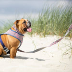 Fabric Dog Leash - Checkered Navy and Red