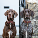 Rope and Suede Leather Dog Collar - Brown