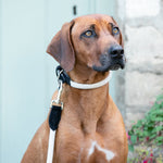 Rope and Suede Leather Dog Collar - Black