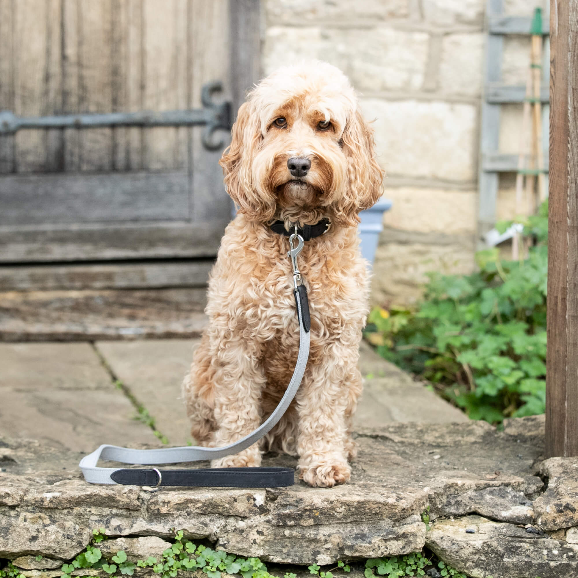 Grey and Black Denim and Leather Dog Collar