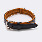 Padded Leather Dog Collar - Black and Brown