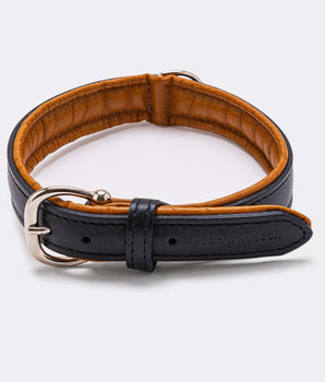 Padded Leather Dog Collar - Black and Brown