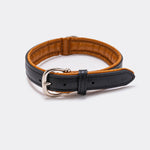Padded Leather Dog Collar - Black and Brown