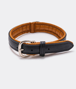 Padded Leather Dog Collar - Black and Brown