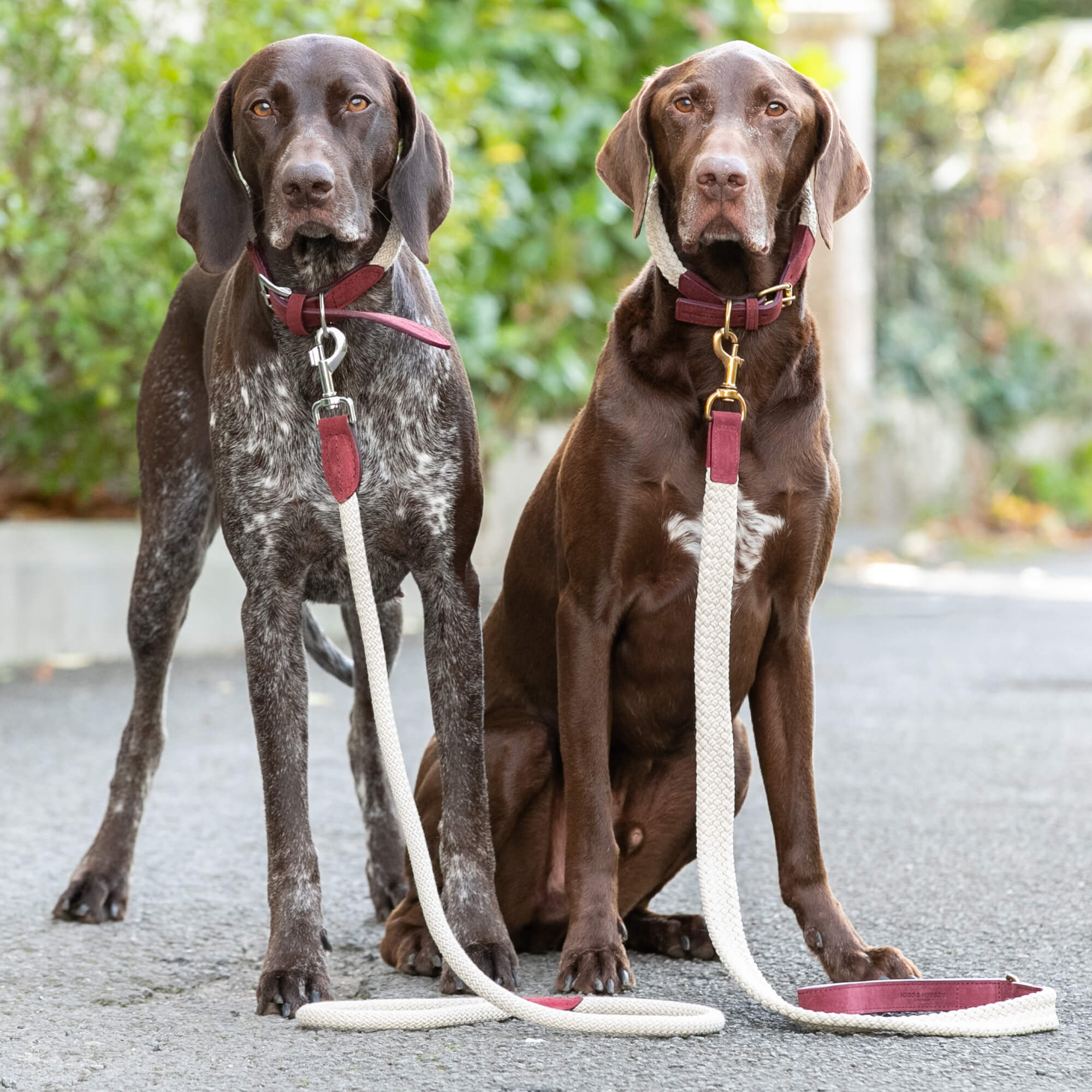 Burgundy Flat Rope and Leather Dog Lead