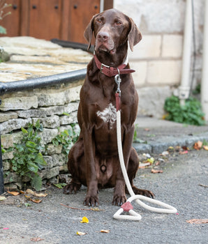 Rope and Suede Leather Dog Leash - Brown