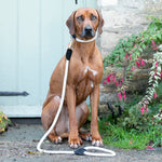 Rope and Suede Leather Dog Leash - Black