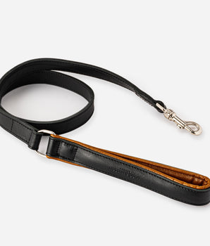 Padded Leather Dog Leash - Black and Brown