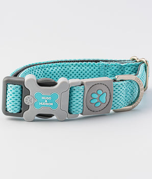 Mesh Dog Collar - Aqua