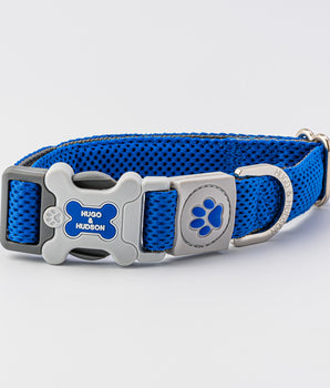 Mesh Dog Collar - Royal Blue