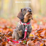 Mesh Dog Leash - Red