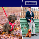 Mesh Dog Leash - Red