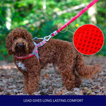 Mesh Dog Leash - Red