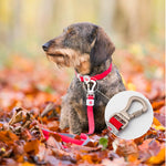 Mesh Dog Leash - Red