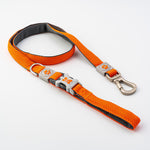 Mesh Dog Leash - Orange