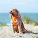 Mesh Dog Leash - Orange