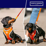 Mesh Dog Leash - Orange