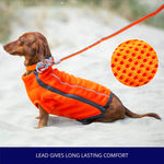 Mesh Dog Leash - Orange