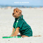 Mesh Dog Leash - Green
