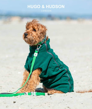 Mesh Dog Leash - Green