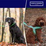 Mesh Dog Leash - Green