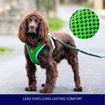 Mesh Dog Leash - Green