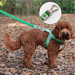 Mesh Dog Leash - Green