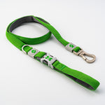 Mesh Dog Leash - Green